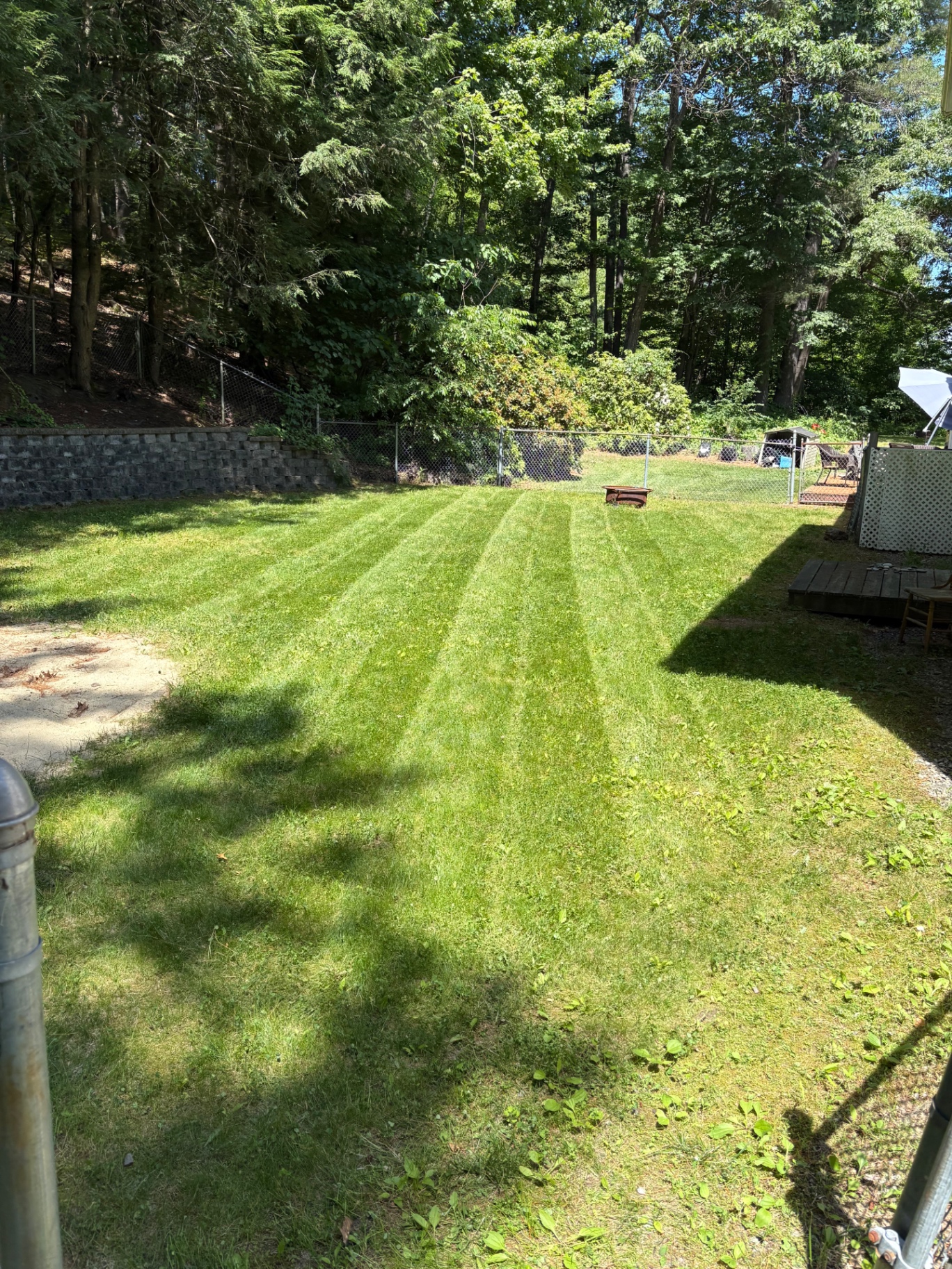 Freshly striped lawn with crisp mowing lines